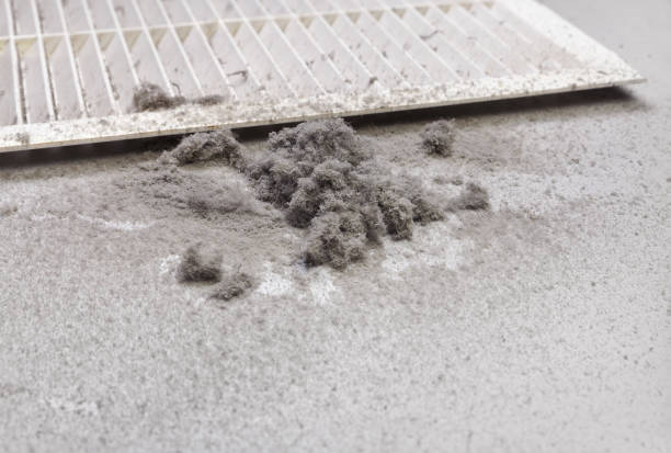 Best HVAC Air Duct Cleaning  in Shongopovi, AZ